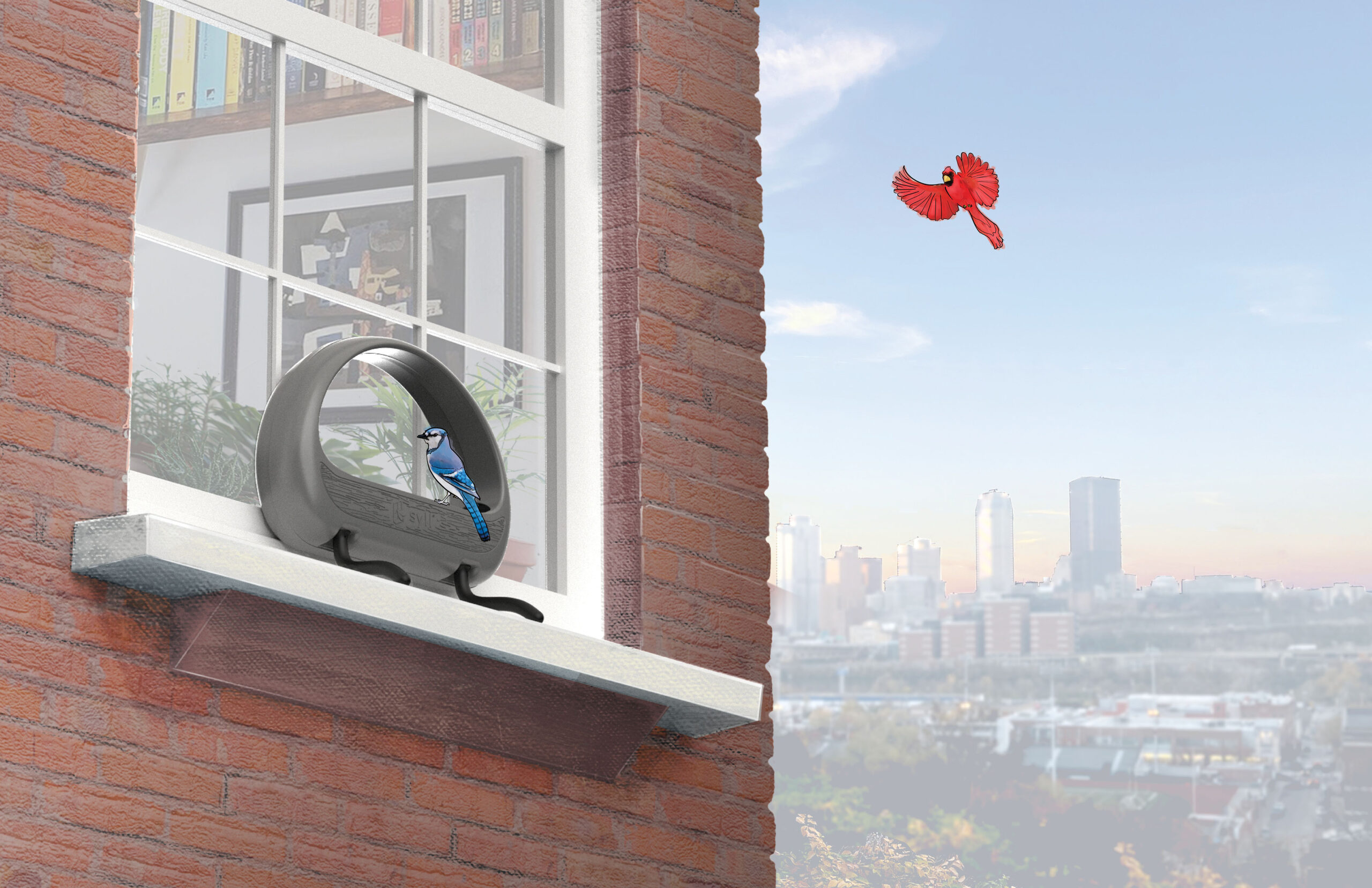 Syll Feeder In Window with City View