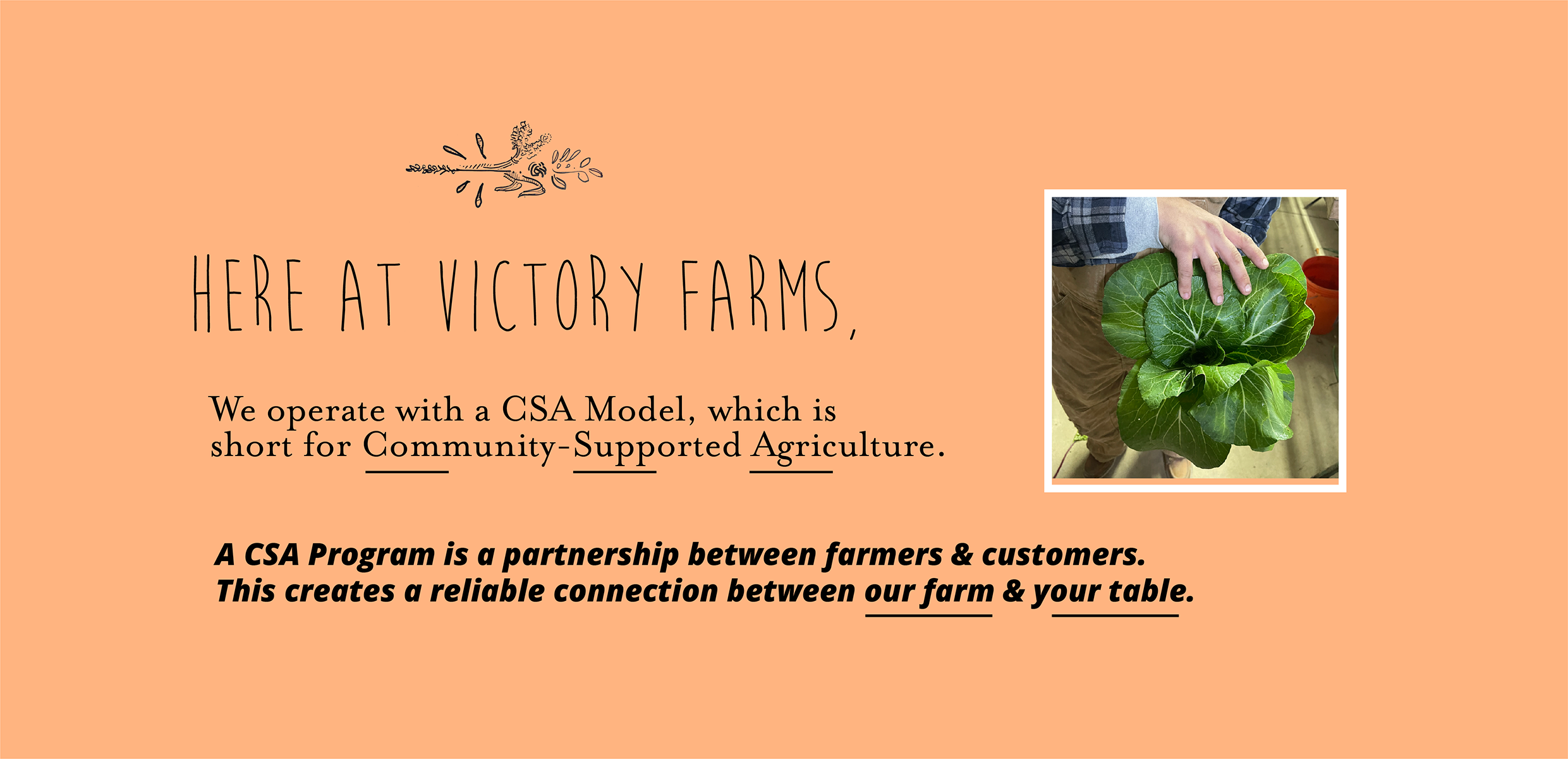 CSA Model Farm to Table