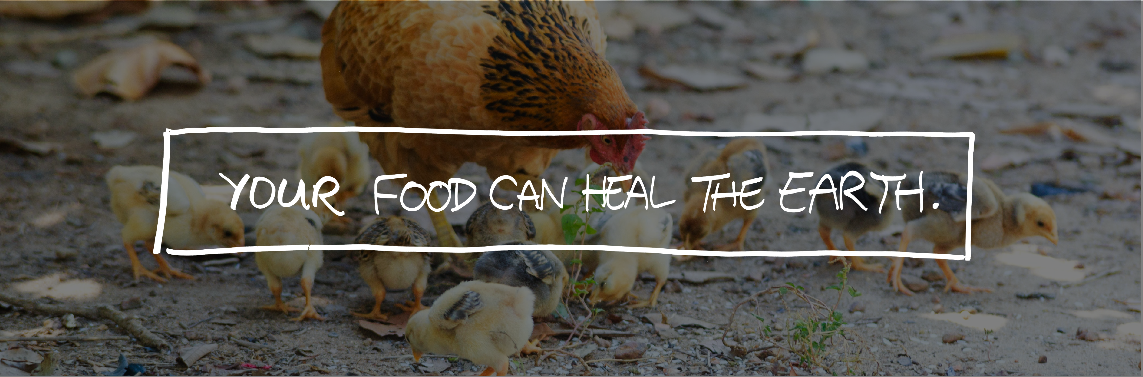 Food Can Heal The Earth